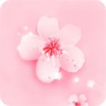 998影视安装包