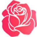 女子片多多免费观看高清电影_logo